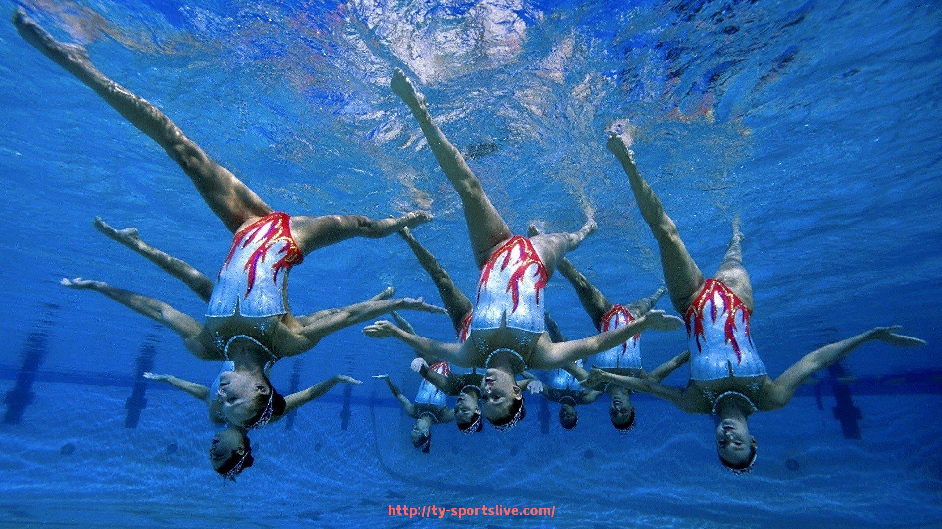 体育直播-欧冠赛事转播权归属及主流转播平台一览